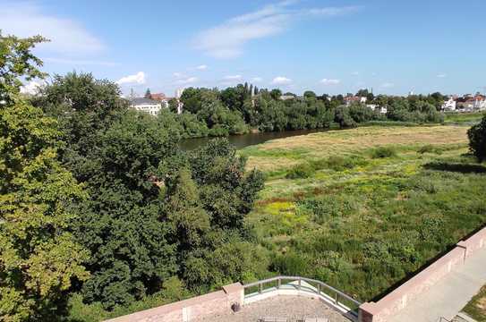 Penthouse mit Blick auf die alte Elbe!