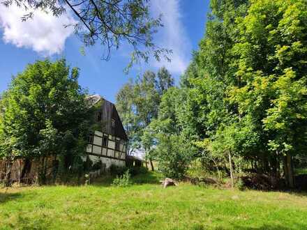 Riesiges, sonniges Baugrundstück mit Platz für Tierhaltung