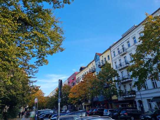 Helmholtzplatz*richtig coole Wohnung auf 2 Ebenen*top saniert*GARTEN-Terrasse und Balkon