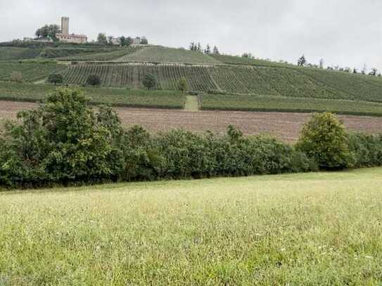 Vielseitiges Grundstück in Sulzfeld bei Dobel: Grünland und Gehölz mit 21.617 m²