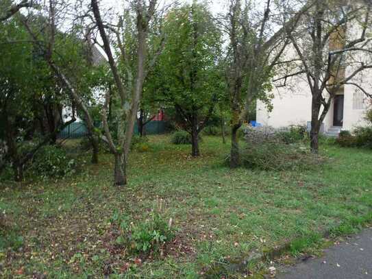 Bauplatz in zentraler ruhiger Lage in Murr 71711 für Mehrfamilienhaus Doppelhaus