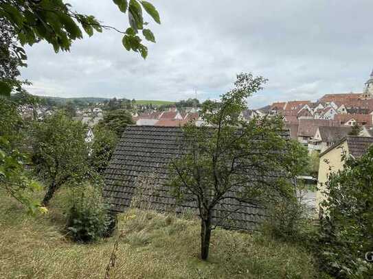 Zweifamilienhaus für Handwerker!