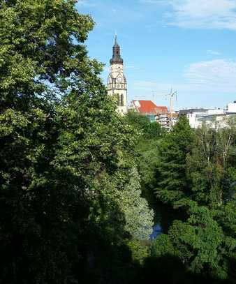 Sonnige 2-Raum-Nichtraucherwohnung mit Balkon in ruhiger Nebenstraße am Karl-Heine-Kanal