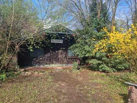 Berghütte in Obermenzing mit großem Garten an Künstler zu vermieten