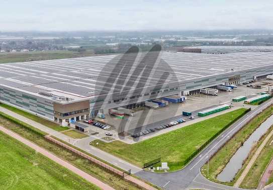 PROVISIONSFREI ✓ LOGISTIK-NEUBAU ✓ 100.000 m² / teilbar ✓ viele Rampen ✓ 12 m Höhe ✓