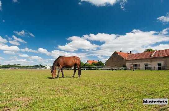 Für Pferdeliebhaber: Landwirtschaftliches Anwesen - provisionsfrei