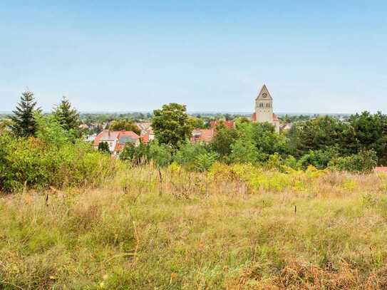 Bauträgerfreies teil-erschlossenes Grundstück in Wriezen: Zentrumsnah mit Ausblick über die Stadt!