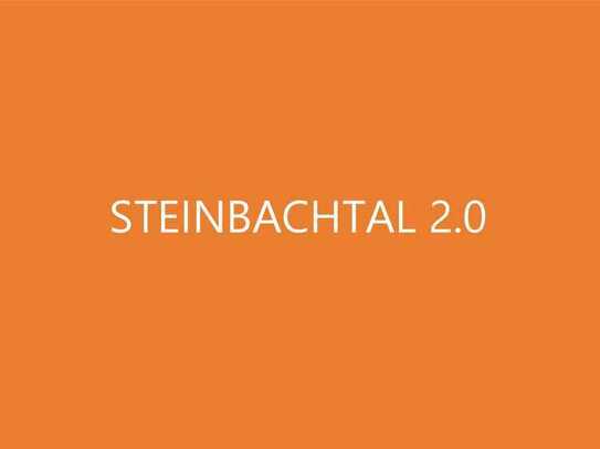 Steinbachtal 2.0