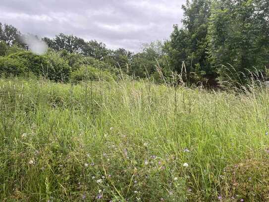 Baugrundstück mit Burgblick