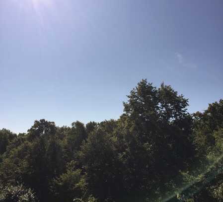 3-Zimmwohnung mit Balkon (Südseite) mit Weitblick sucht netten Nachmieter!