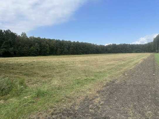 *** VERKAUFT *** landwirtschaftliche Flächen in Transvaal