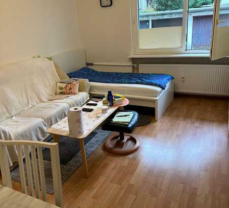 Toplage! Helle 1 Zimmer-Wohnung nahe des Mains