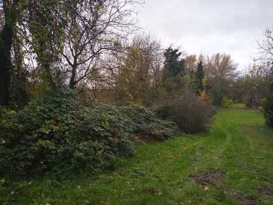 Gartengrundstück / landwirtschaftliche Fläche in Leimen