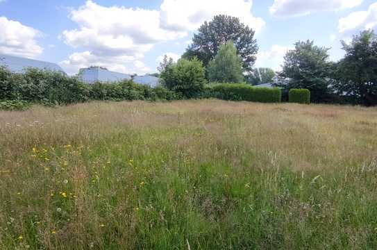 2084m² Grundstück...! Freistehendes Einfamilienhaus in Herten-Disteln