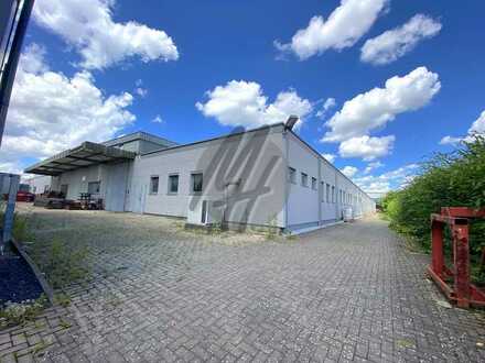 KEINE PROVISION ✓ Lager-/Produktion (4.400 m²), Büro (250 m²) & Ausstellung (550 m²) zu vermieten