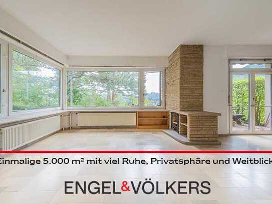 Einmalige 5.000 m² in Hambach mit viel Ruhe, Privatsphäre und Weitblick!