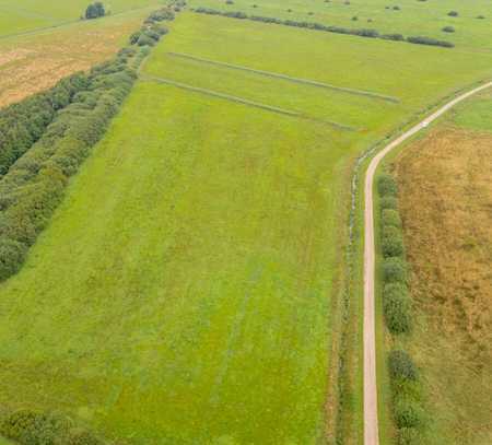 Landwirtschaftliche Fläche Grünland in Oldersbek zu verkaufen