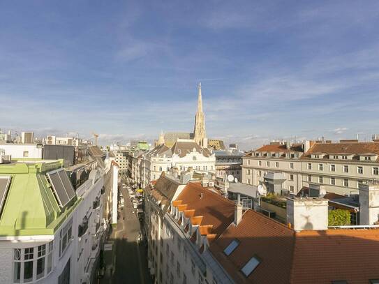 Plankengasse - loftartiges Penthouse auf 3 Etagen und Blick zum Stephansdom