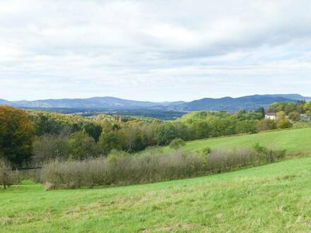 7,36 Hektar Landwirtschaft in der Oststeiermark !