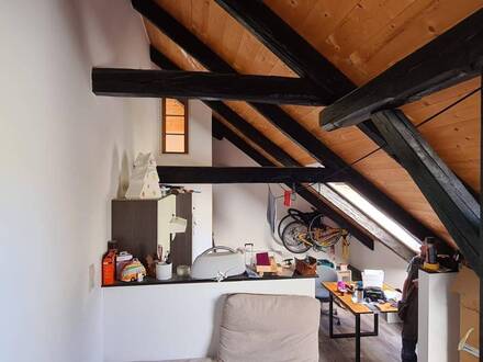 Schöne 1-Zimmer-DG-Wohnung in Mützens