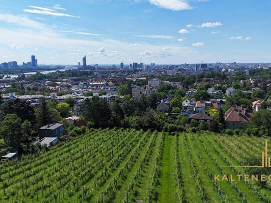 Baugenehmigtes Grundstück am Döblinger Nussberg