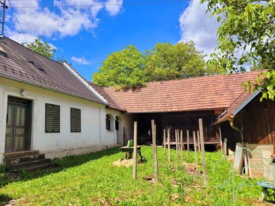 Burgenländischer Streckhof mit viel Potential - 1679 m² Grundstück BW in Kemeten!