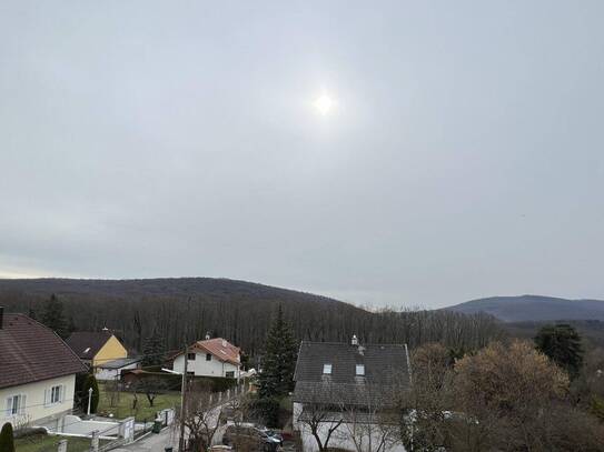 Luxuriöses Einfamilienhaus. Grenze Neustift am Walde 19. Bezirk