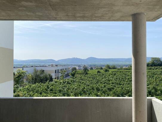 Neubau Erstbezug Ruhige Drei Zimmer Wohnung mit Eigengarten und fabelhafter Aussicht