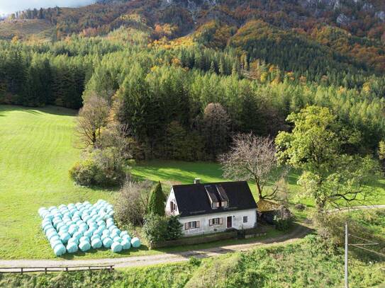 Romantisches Cottage in Alleinlage auf 5.555 m² Grund mit großzügigem Holzbezugsrecht