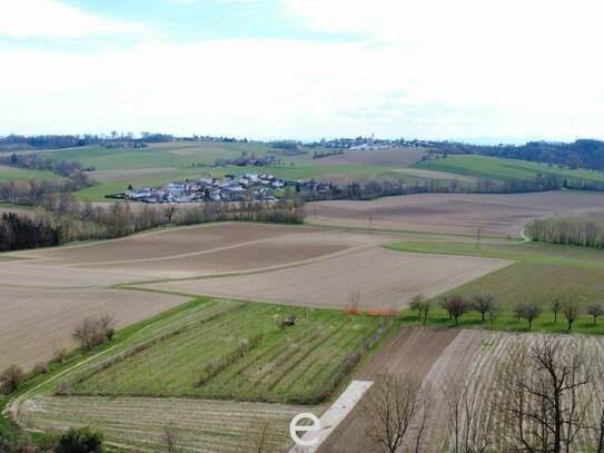 Acker mit 1,8 ha zu verkaufen!