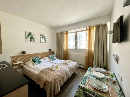 Wiener Studio Apartment in Favoriten