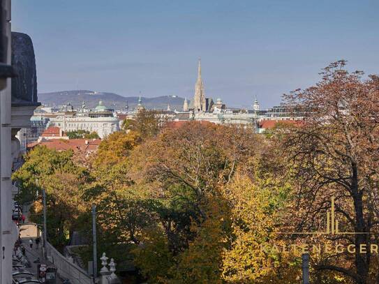 Exklusive, frisch sanierte Stadtwohnung beim Schloss Belvedere mit Blick auf Wien