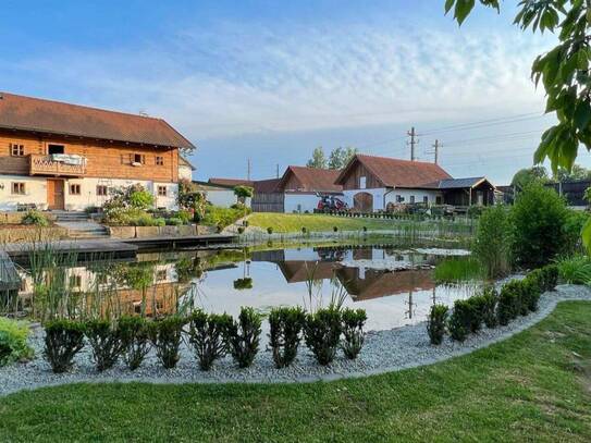 Innviertler Bauernhof mit Gewerbehallen & Schwimmteich !