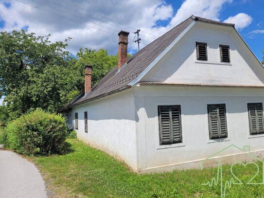 Burgenländischer Streckhof mit viel Potential - 1679 m² Grundstück BW in Kemeten!