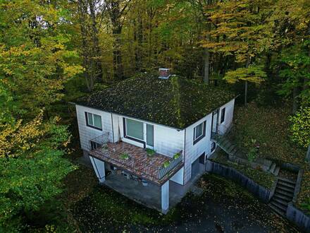 Haus auf großen Grundstück in Alleinlage mit herrlichen Ausblick in Steyr zu verkaufen