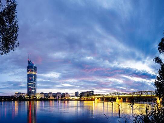 MILLENNIUM TOWER - Büroflächen mit Weitblick !