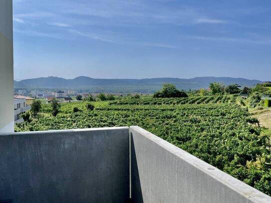 Neubau Erstbezug Ruhige Drei Zimmer Wohnung mit Balkon und traumhaften Ausblick