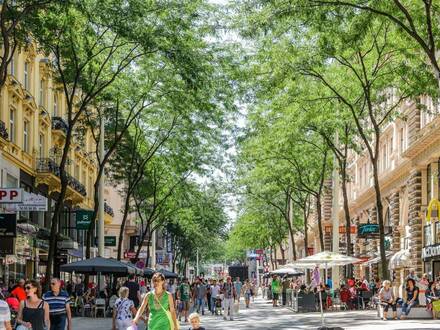 kleines Lokal inkl. Schanigarten direkt auf der Mariahilfer Strasse