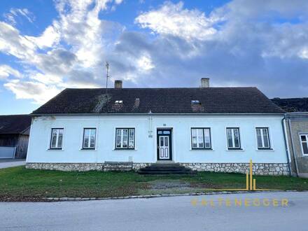 Sanierungsbedürftiges Haus im Weinviertel mit idyllischem Innenhofgarten