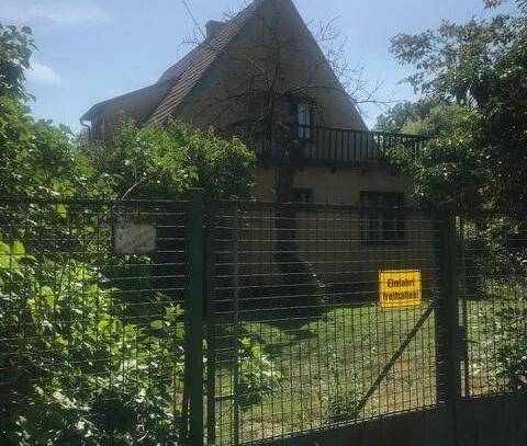 Villa mit Stil 15 min vor Wien, Pferdehaltung möglich!