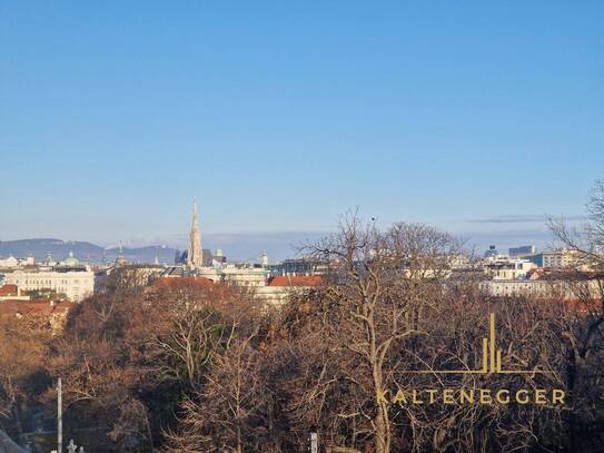 Blick auf den Stephansdom & Schloss Belvedere: Frisch sanierte Stadtwohnung