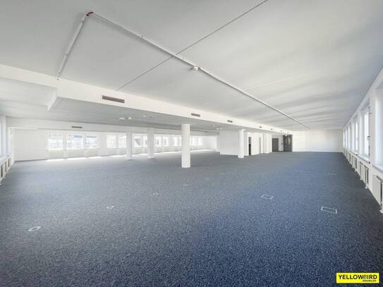 10 €/M² - ERSTBEZUG NACH SANIERUNG - GROßRAUMBÜRO - 590 M²