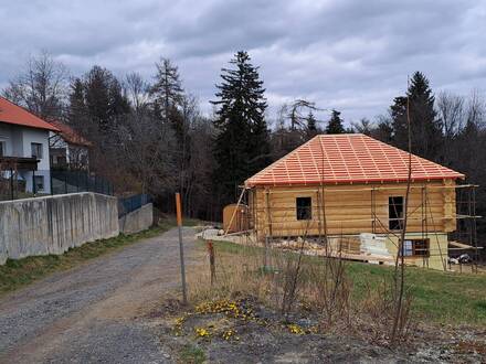 Einfamilienhaus-Holzhaus, Blockhaus
