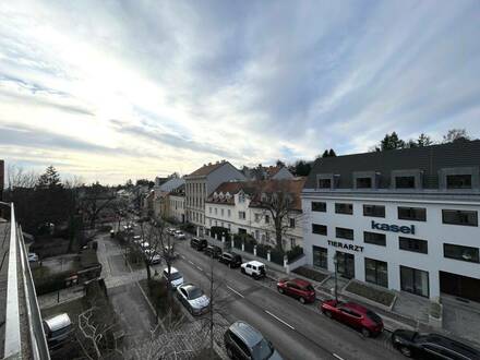 PROVISIONSFREI - Dachgeschosswohnung mit zwei Terrassen zwischen Pötzleinsdorfer Schlosspark und Bellevuewiese - Erstbe…