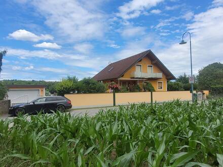 Einfamilienhaus mit Pool