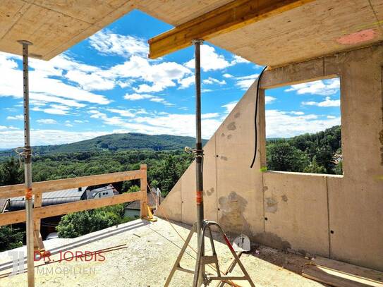 Einfamilienhaus-Niedrigenergiehaus mit Dachterrassenblick auf den Wienerwald, in Fertigstellung