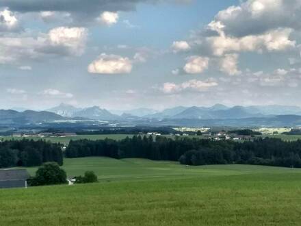 Obertrum - Nähe Kaiserbuche - 3 Zimmer Wohnung in Naturlage mit herrlicher Aussicht