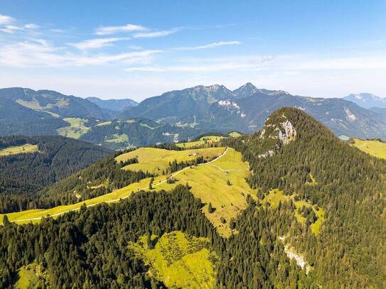 Almfläche mit Panoramablick im Pinzgau