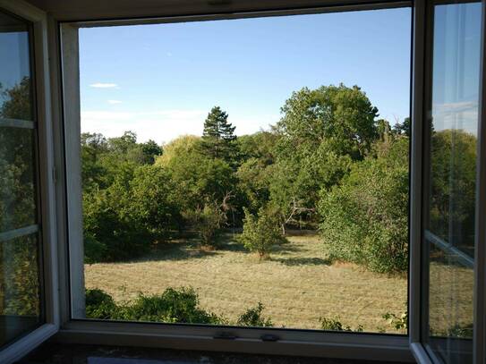 Wohnung in absoluter Grünruhelage mit Schlossblick in Schloßhof, gemütlicher kleiner Ort mit NÖs größter barocker Schlo…