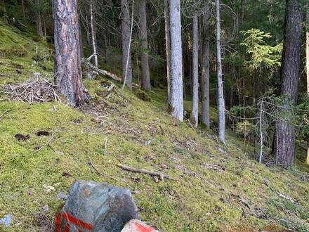 Wald- und Streunutzungsteile im vorderen Ötztal abzugeben